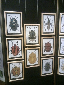 Insekti (1A)